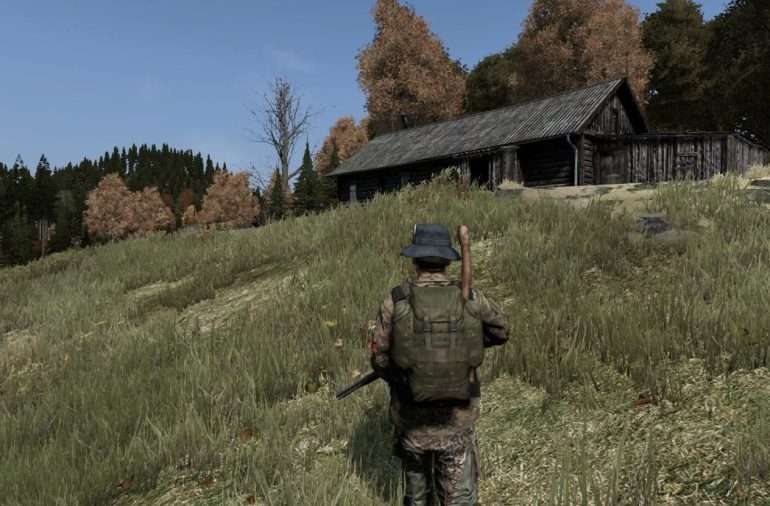 From Beginner to Pro: Mastering DayZ with Private Software