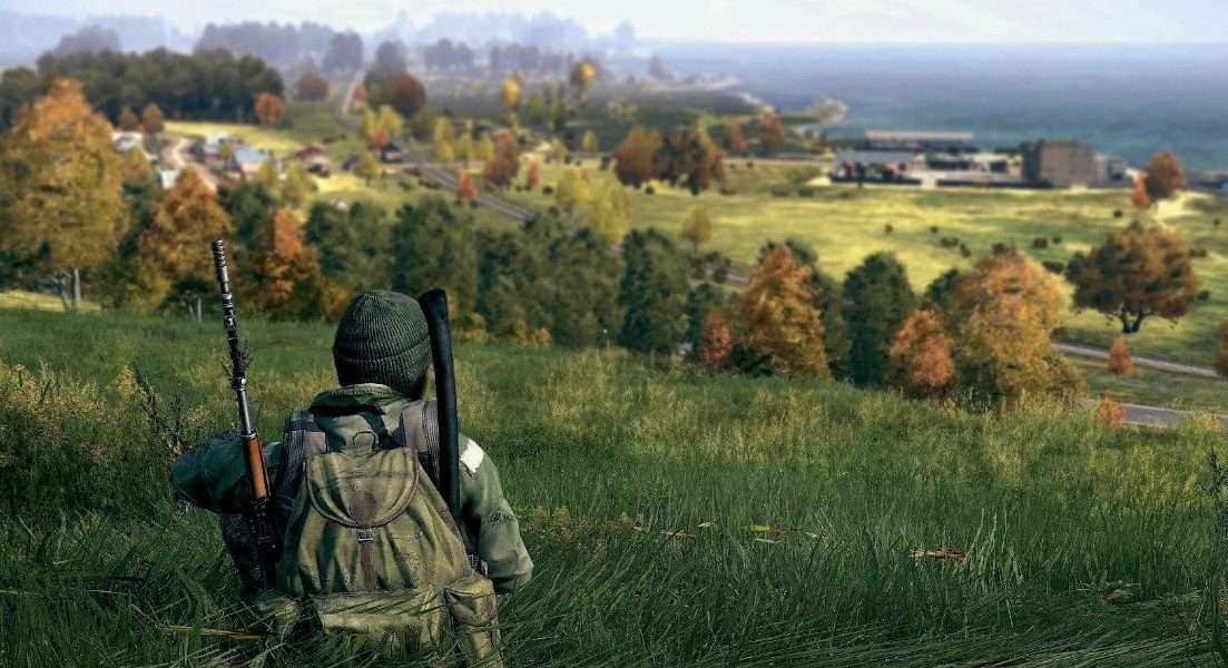 From Beginner to Pro: Mastering DayZ with Private Software