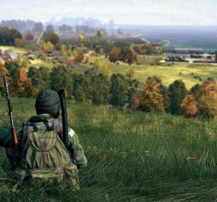 From Beginner to Pro: Mastering DayZ with Private Software